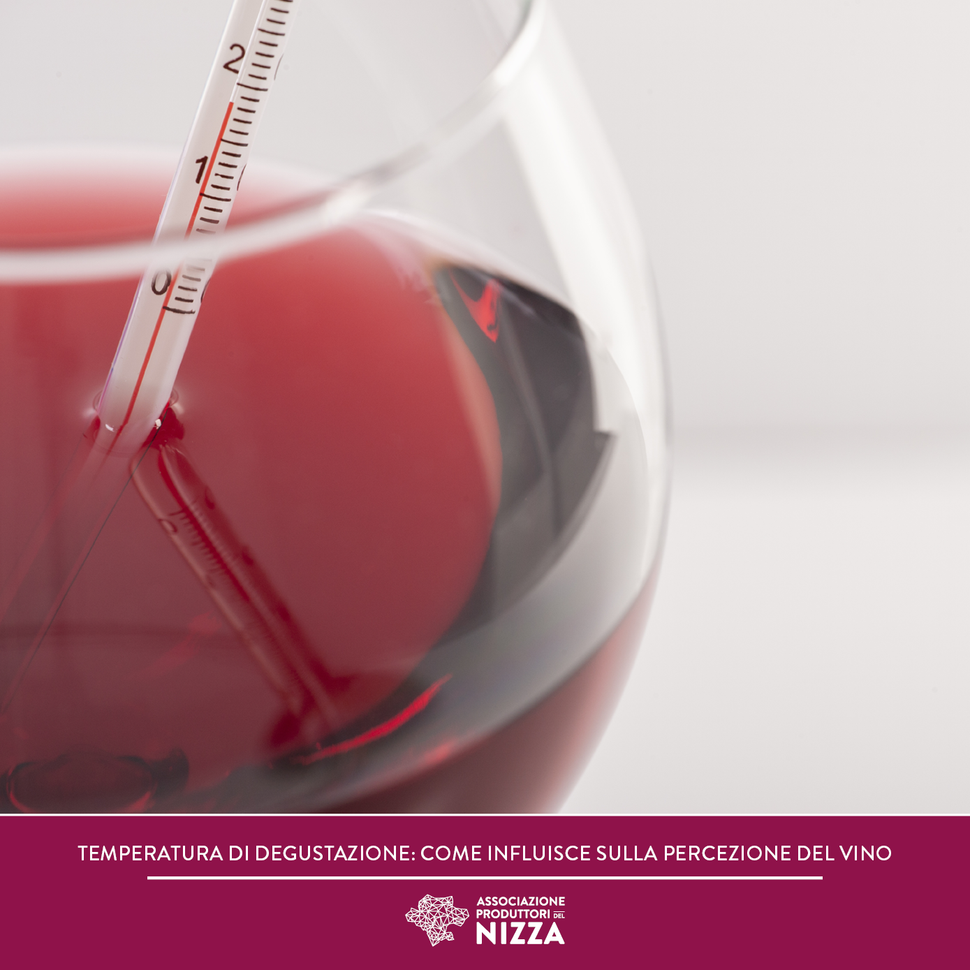 TEMPERATURA DI DEGUSTAZIONE: COME INFLUISCE SULLA PERCEZIONE DEL VINO