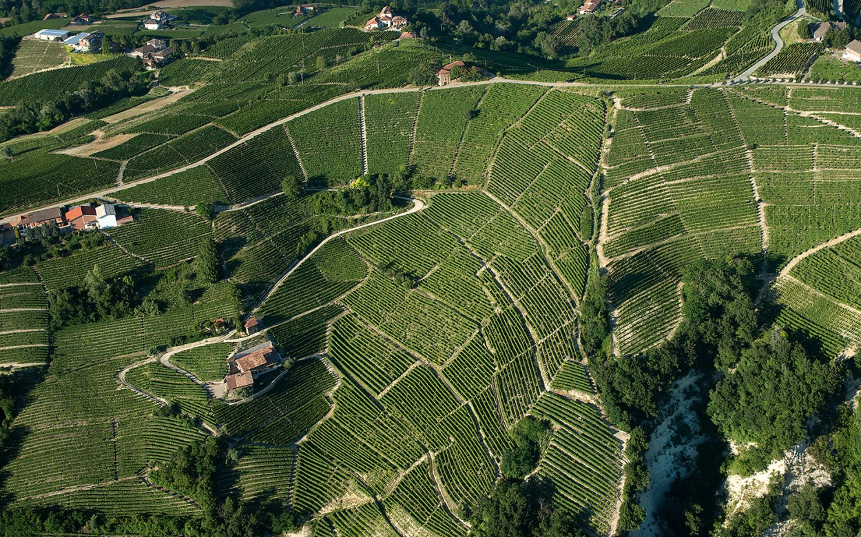 Vino e territori, nasce il Manifesto del Nizza, il vertice qualitativo del mondo Barbera