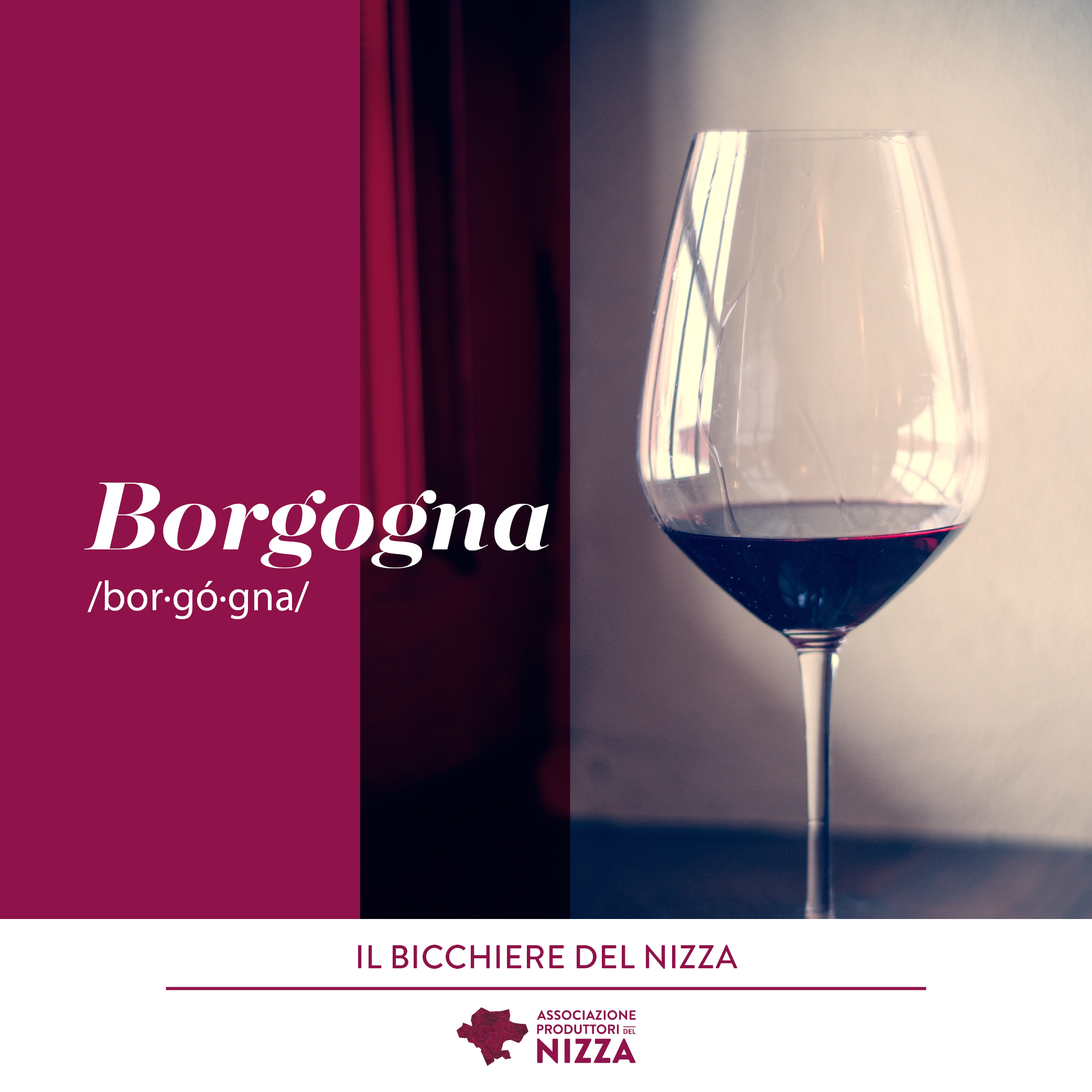 COME SCEGLIERE IL CALICE PER DEGUSTARE IL NIZZA DOCG