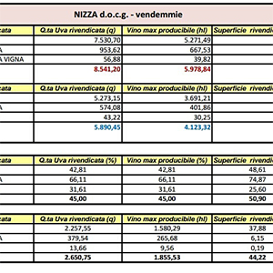 I dati del Nizza nella vendemmia 2016