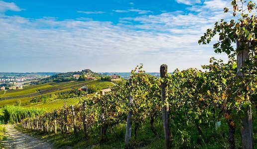 Nasce il Manifesto del Nizza