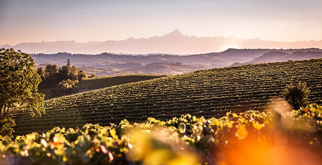 Alla scoperta del Monferrato segreto: cultura, natura, sport, gran vino e ottimo cibo
