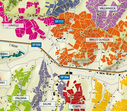 Sistema Nizza Docg: un lucido e lodevole progetto di territorio