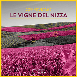 Le Vigne del Nizza