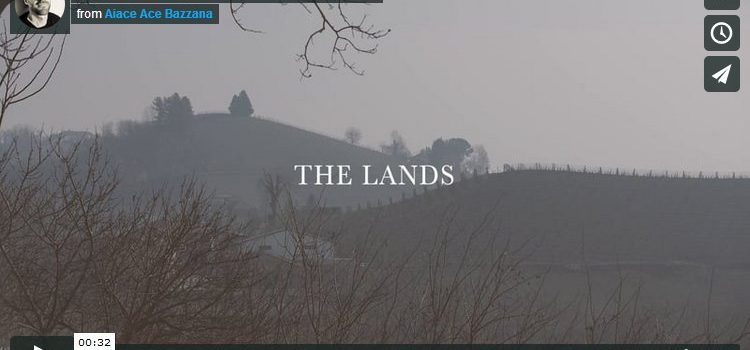 DISCOVER THE LANDS OF NIZZA