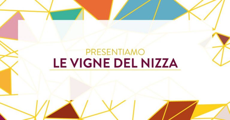 DAVIDE PALLUDA E LE VIGNE DEL NIZZA