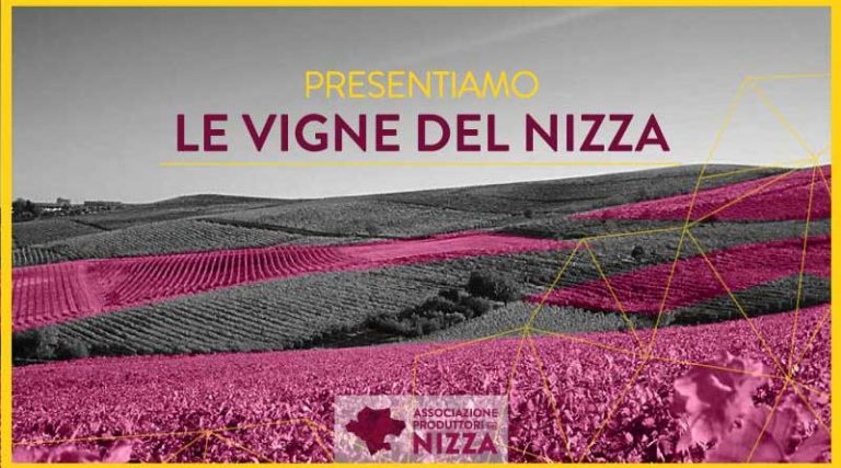 NIZZA DOCG: DA SOTTOZONA A 