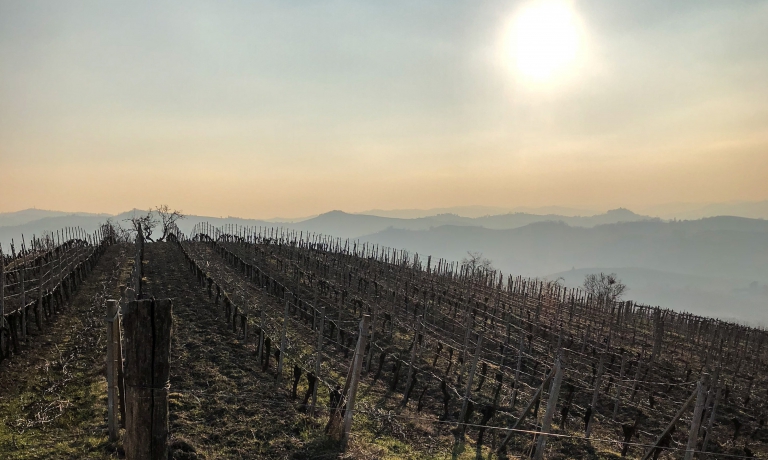 NIZZA, UNA MAPPA DEI VIGNETI PIENA DI ENTUSIASMO