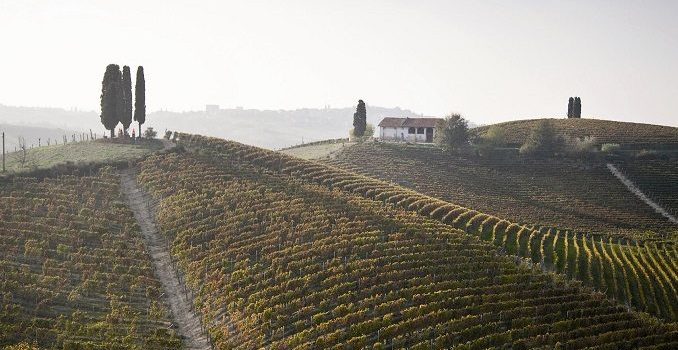 E' UN NIZZA DOCG IL MIGLIOR VINO DEL MONDO PER WINE ENTUSHIAST