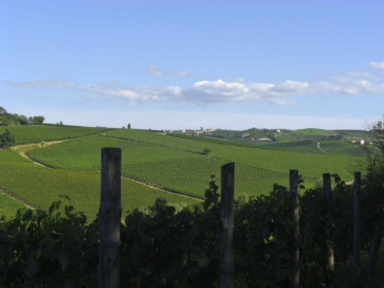 L'UNIONE EUROPEA RICONOSCE UFFICIALMENTE IL NIZZA DOCG